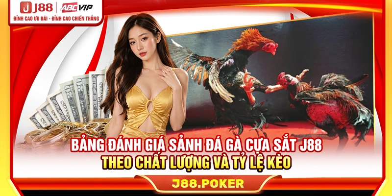 Bảng đánh giá sảnh đá gà cựa sắt J88 theo chất lượng và tỷ lệ kèo