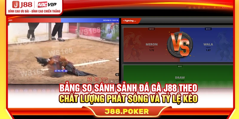 So sánh sảnh đá gà J88 theo chất lượng phát sóng và tỷ lệ kèo