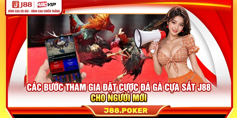 Các bước tham gia đặt cược đá gà cựa sắt J88 cho người mới