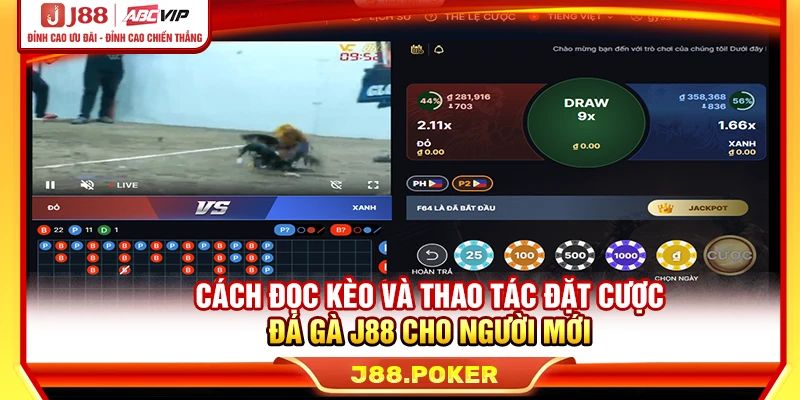 Cách đọc kèo và thao tác đặt cược đá gà J88 cho người mới