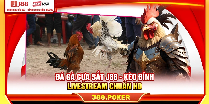 Đá Gà Cựa Sắt J88 - Kèo Đỉnh, Livestream Chuẩn HD