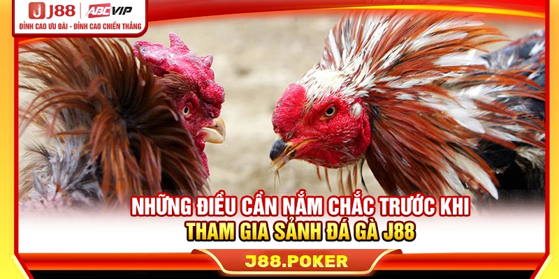 Những điều cần nắm chắc trước khi tham gia sảnh đá gà J88