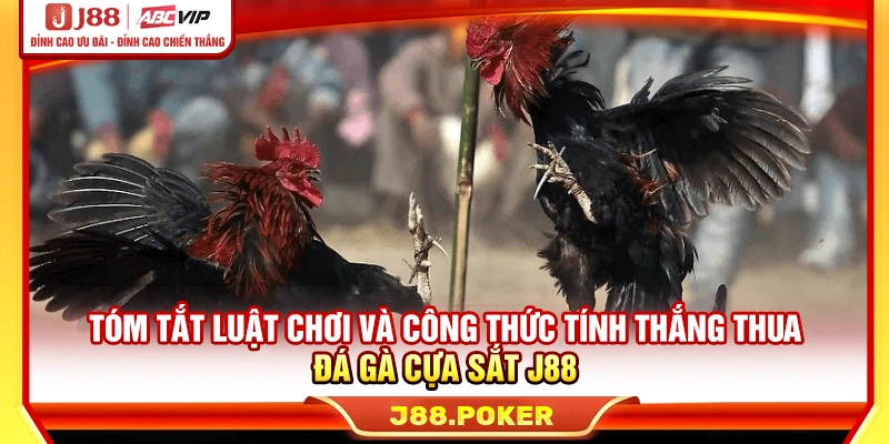 Tóm tắt luật chơi và công thức tính thắng thua đá gà cựa sắt J88